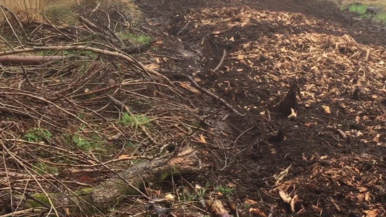 VALENTINI DEMONIO 2000 FORESTRY MULCHER IN FRANCE