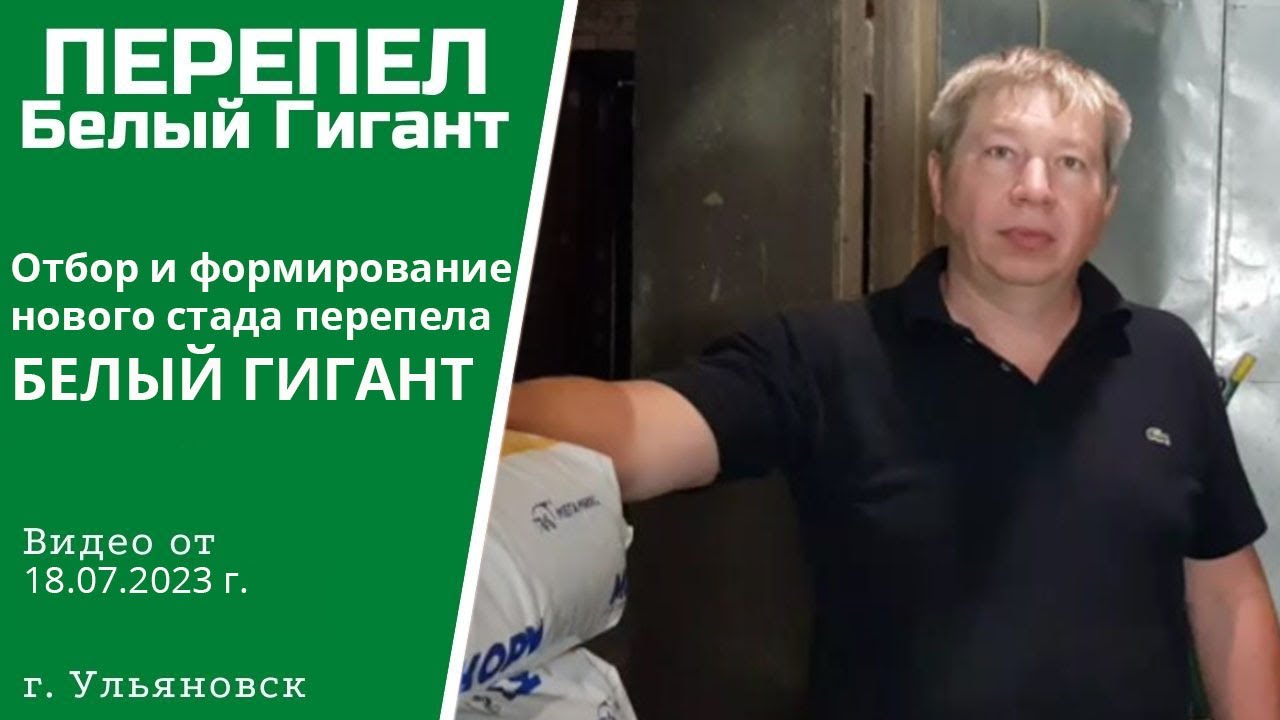 Отбор и формирование нового материнского стада
