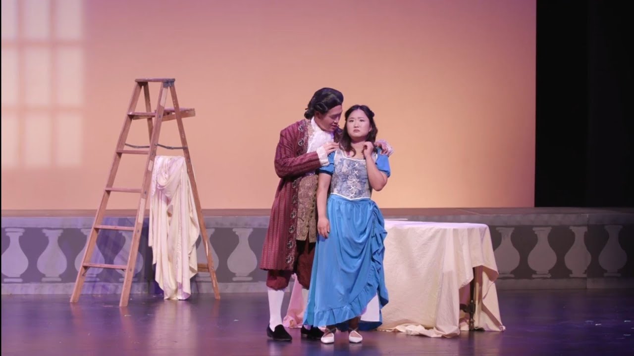 Le Nozze Di Figaro - Conte