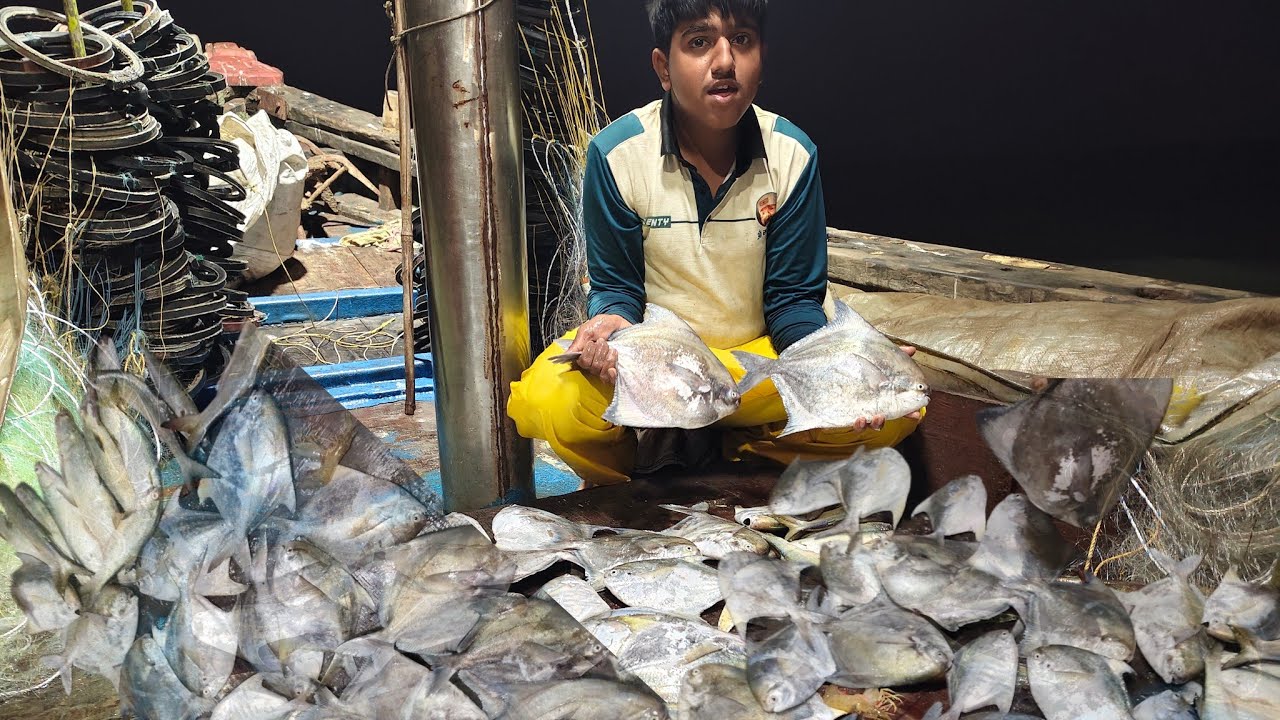 पापलेट आणि कलेट मासेमारी 🐟🐠🐟🐠