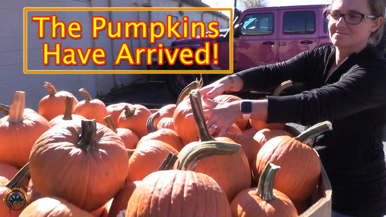 Unloading Hundreds of Pumpkins for the TDI Pumpkin Patch! 🎃