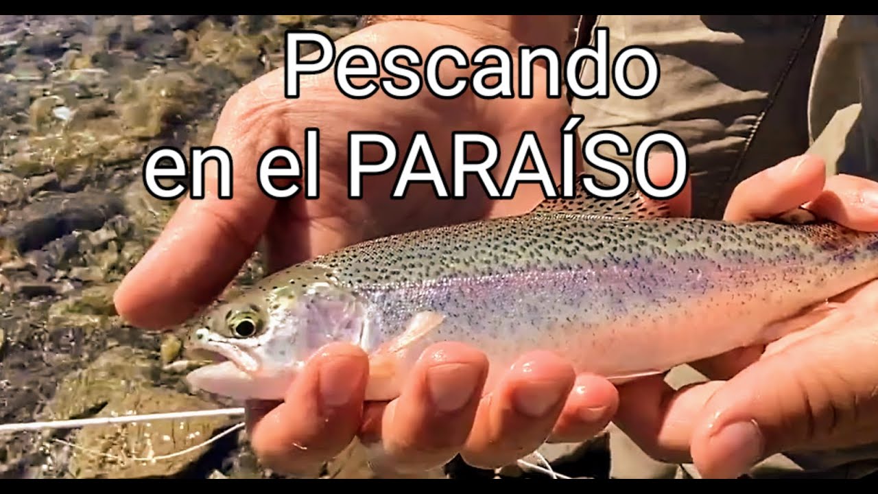 PESCA CON MOSCA-LAGO DEL DESIERTO-EL CHALTEN