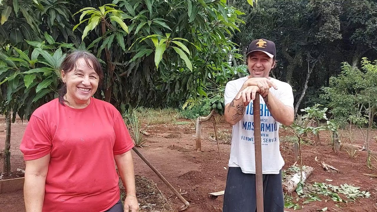 PLANTAMOS O JASMIM MANGA NO LUGAR ERRADO
