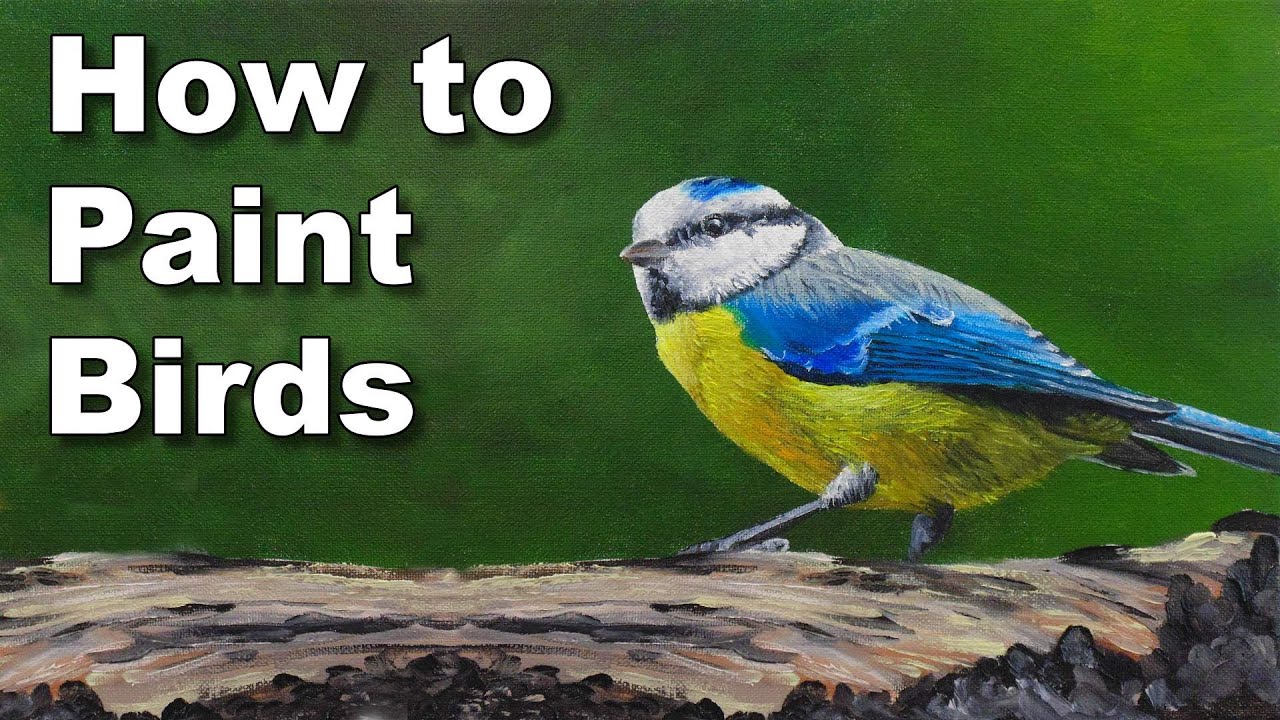 Рисование птиц — как рисовать птиц маслом. Урок — Лазоревая синица.