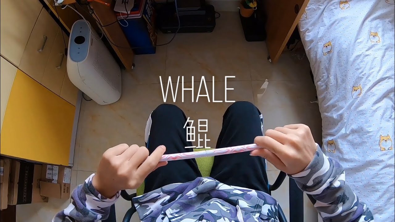 Nope Penspinning Solo  - Whale (Long Stick) 个人转笔作品 - 鲲