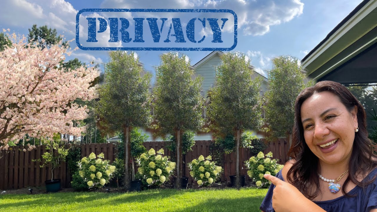 Попробуйте это, если вы ищете уединения на своем заднем дворе!