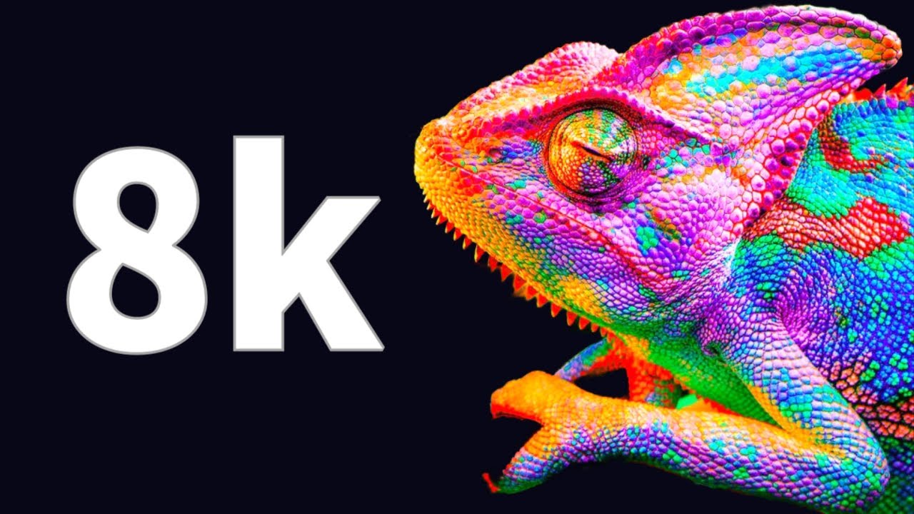 ⭕️  8K VIDEO 120 FPS  Animales Hermosos del Mundo dolby vision sonido cinematográfico