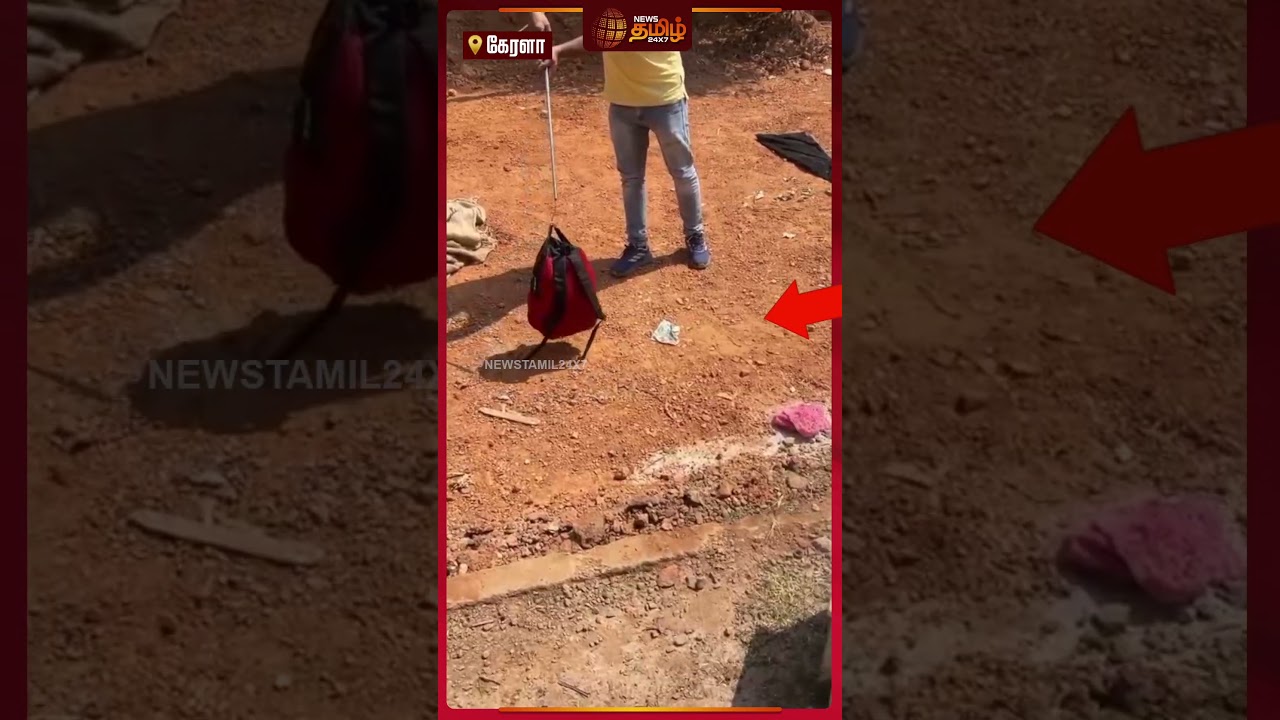 School Bag-ல் இருந்த நல்ல பாம்பு..!! kerala | snake | schoolbag