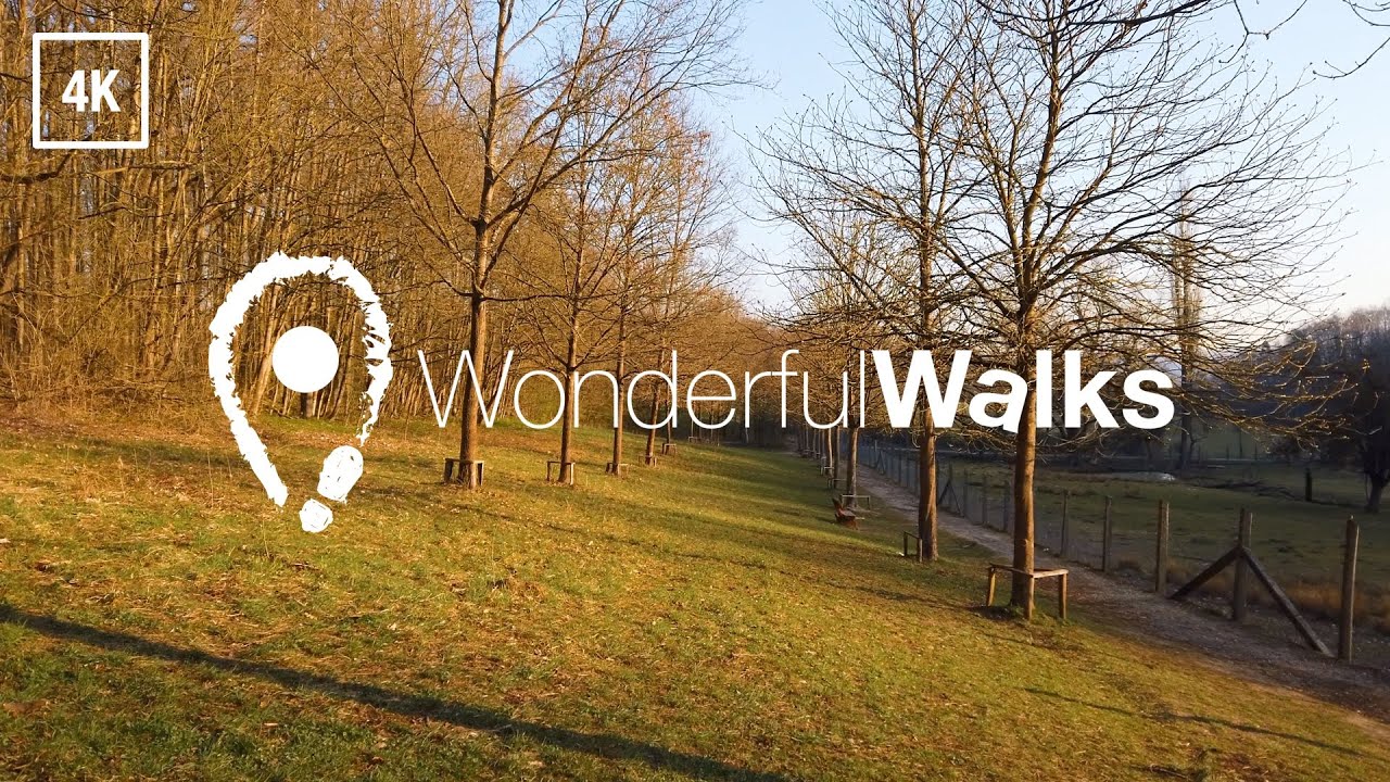Wonderful Walks | Eine Runde durch Göttingens Stadtwald [4K]
