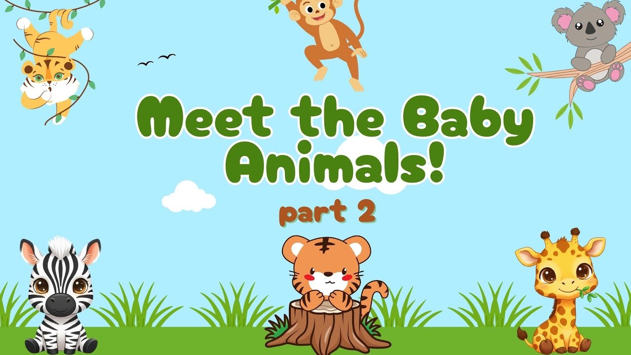 Meet the Baby Animals! Part 2 | Animals and Their Babies | Kids Learning Video