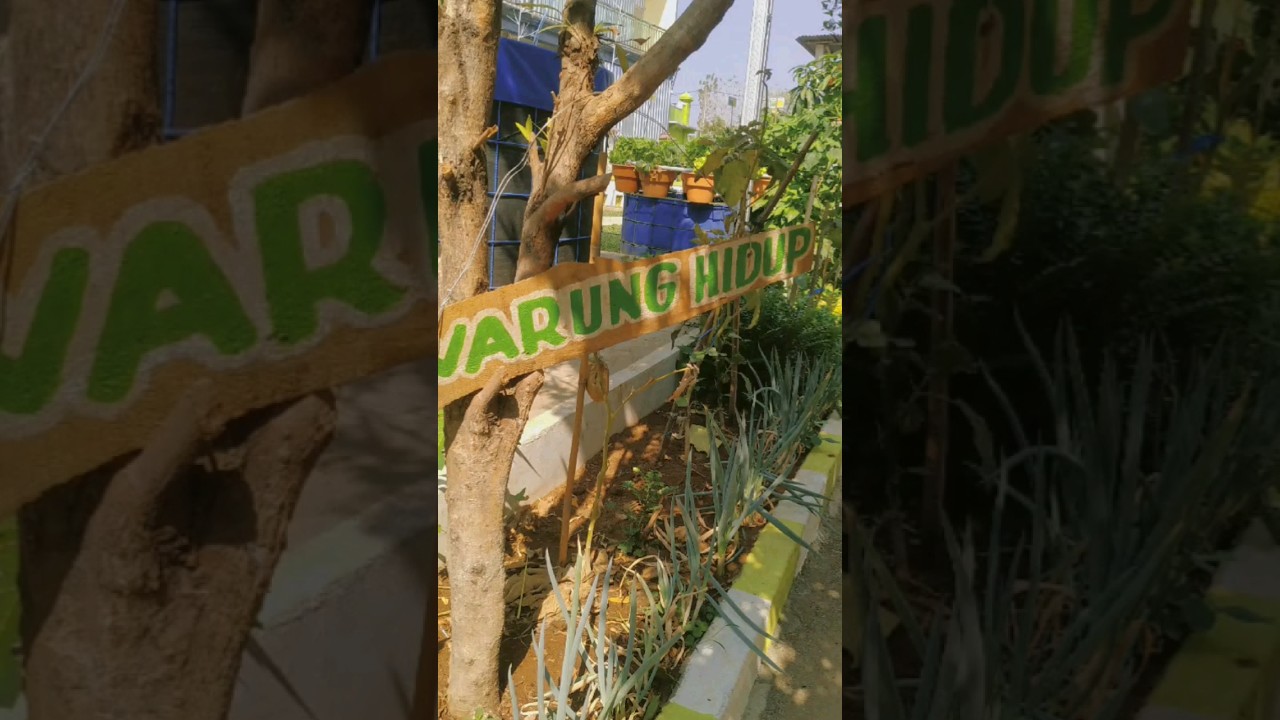 Warung Hidup Sekolah Adiwiyata Mandiri SDN Karangpelem 1