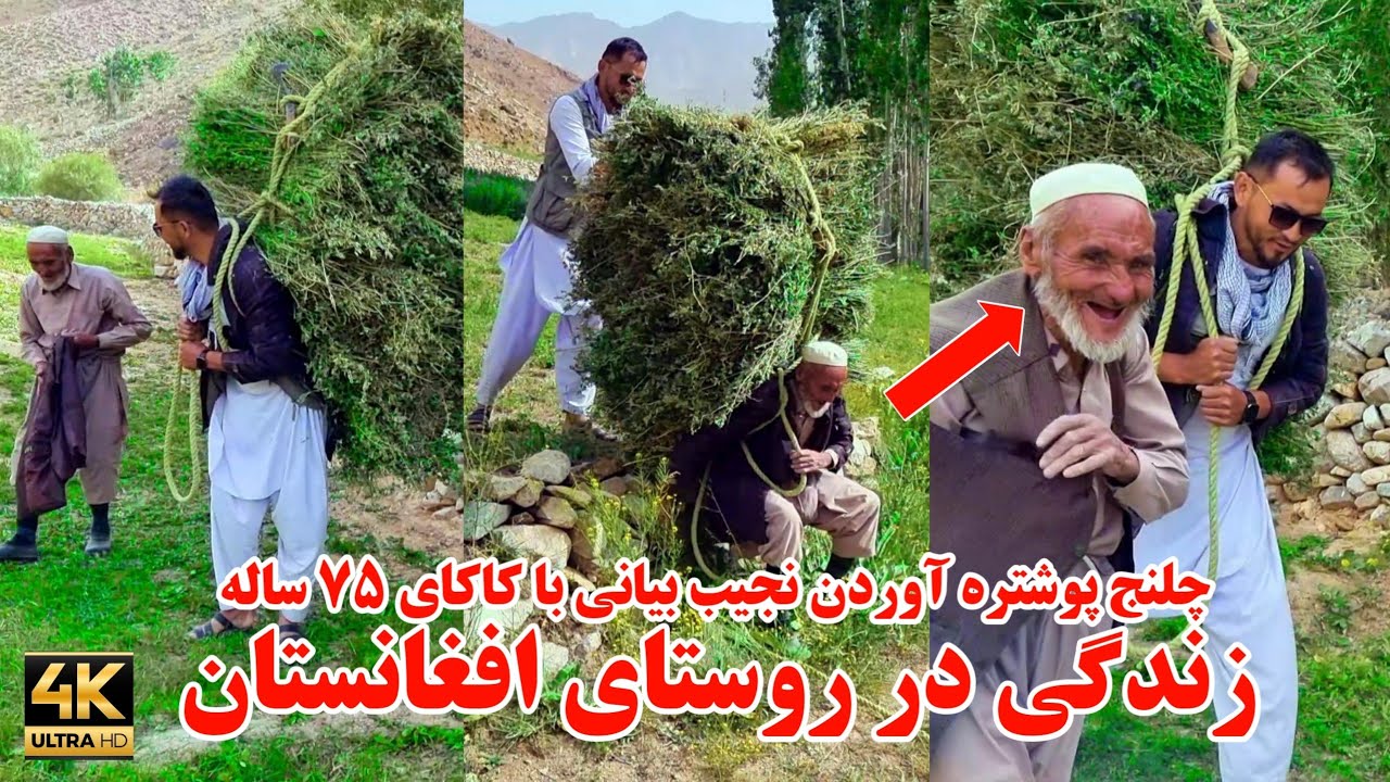 همت و توانایی کاکای ۷۵ ساله | The courage and ability of a 75-year-old man in the village of Afg
