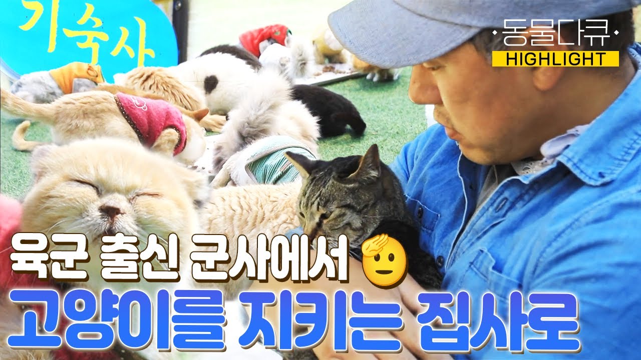 #동물극장단짝 I [하이라이트] 군대가 더 쉬웠어요...나라를 지키다 50마리 고양이들을 지키는 집사가 된 사연?!🌸 I EP19화 I 동물극장 단짝 220528 방송