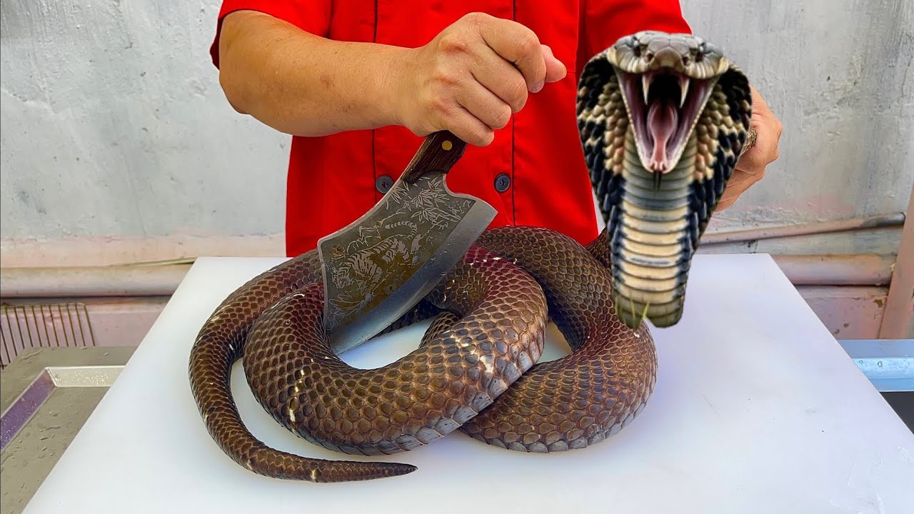 best cooking recipe for 1 black cobra // best cooking