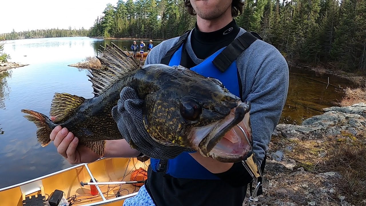 BWCA Part 3: Disappointment Lake Camping and Return Trip