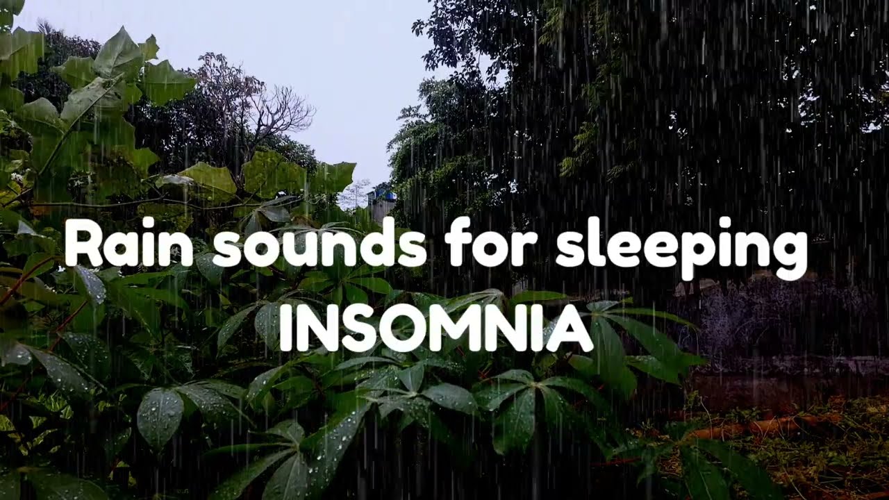 CALMING 1 hours rain sounds for sleeping , INSOMNIA , MEDITASI , study