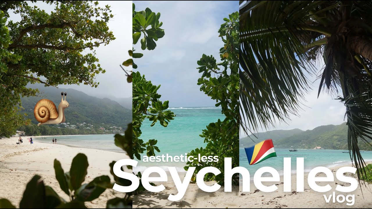Seychelles vlog | Aug 2024