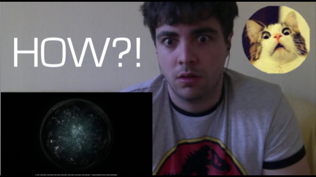 TIMELAPSE OF THE FUTURE Reaction