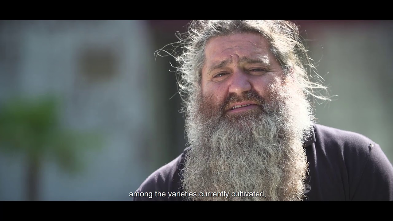 [ENG Subs] - [The DO León according to Raúl Pérez] - Chapter I - History