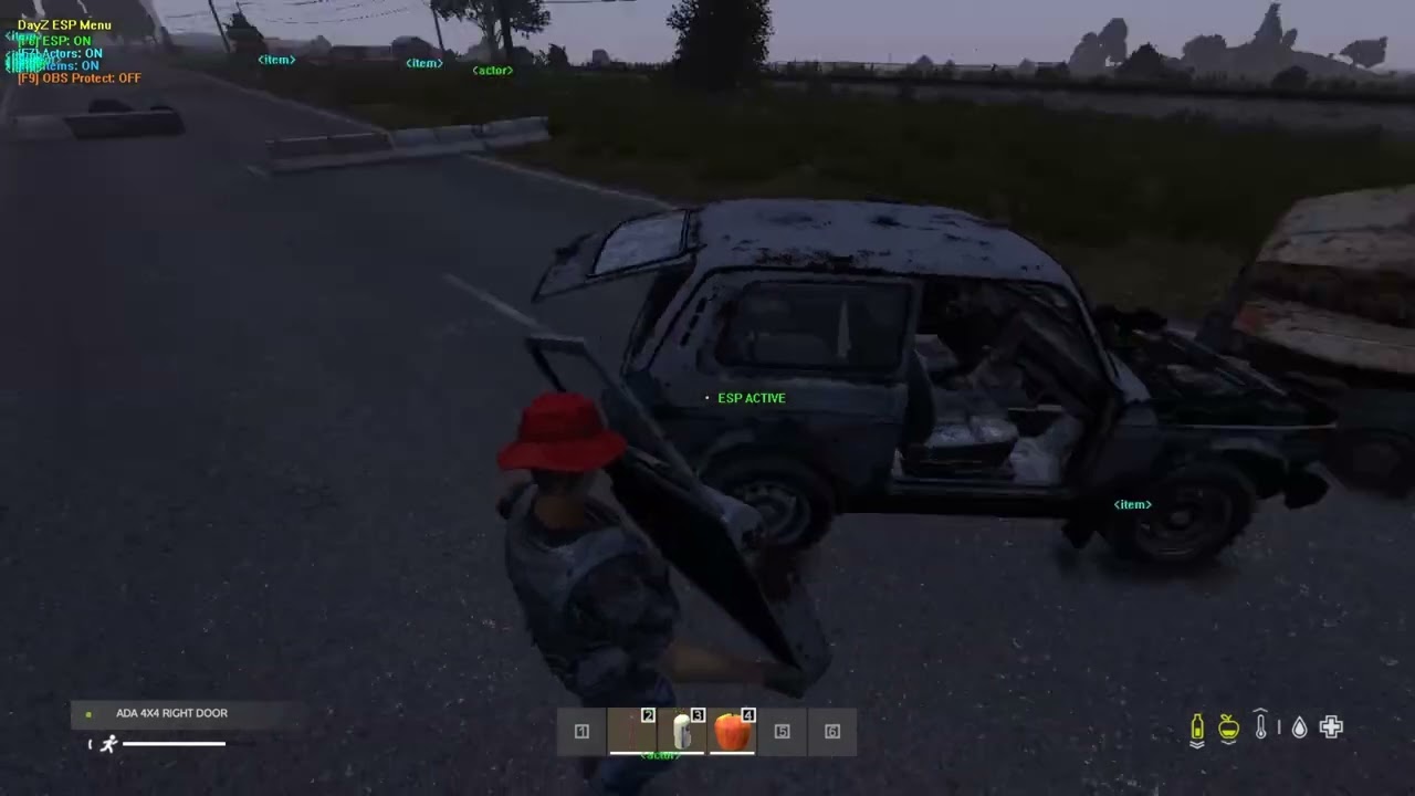 DayZ Python ESP V1   ZFusion