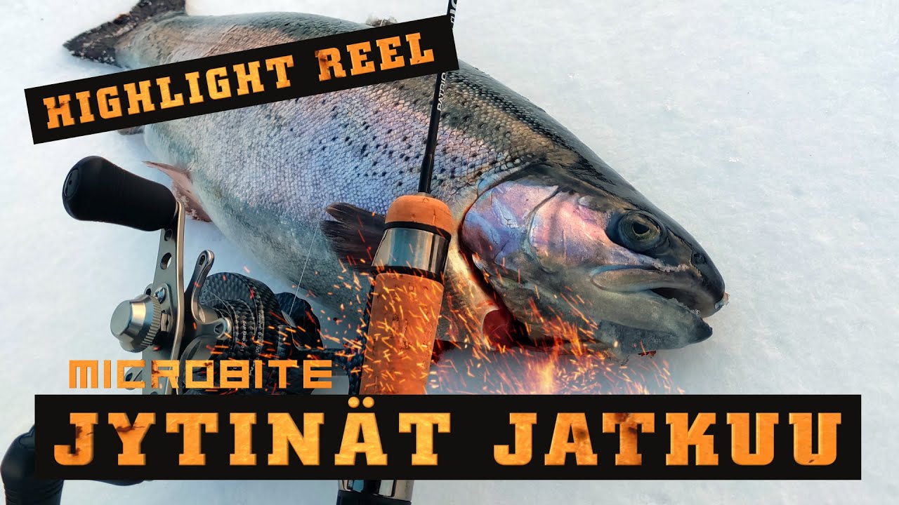Kirjolohen pilkintää / Jytinät jatkuu