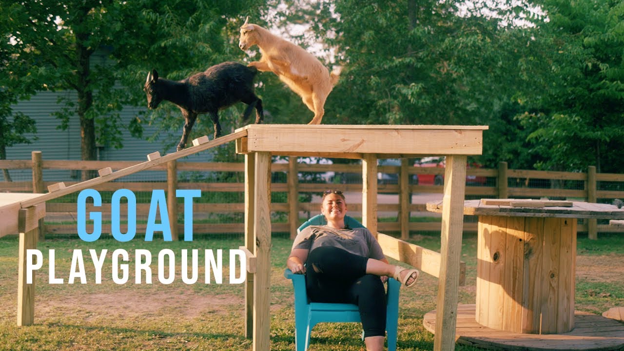 Новая игровая площадка для коз!🐐