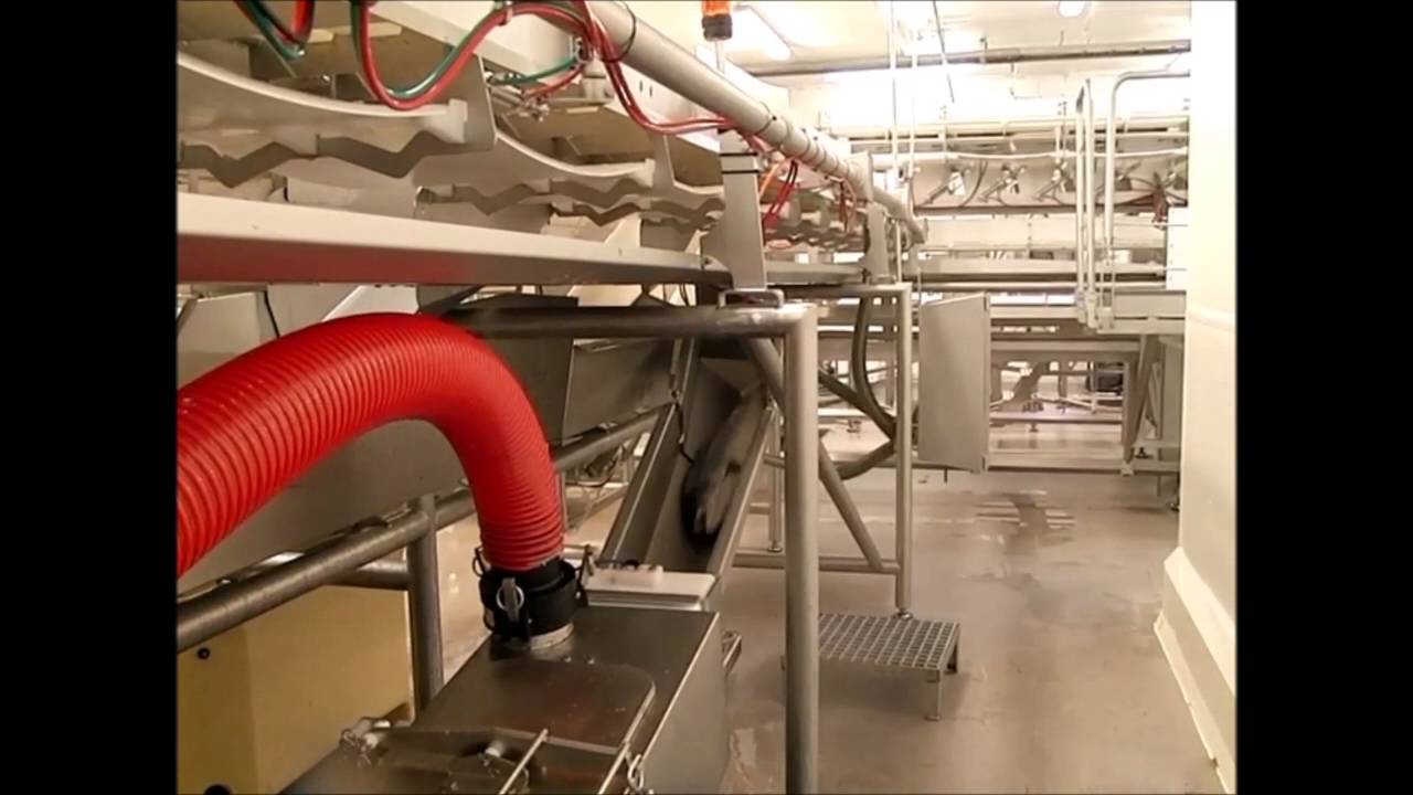 Whooshh Seafood Processing Narration- Austevoll Norway