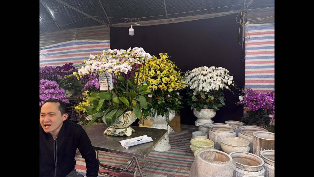 2/2 MUA HỒ ĐIỆP NÀO CÁC CỤ 0983270995