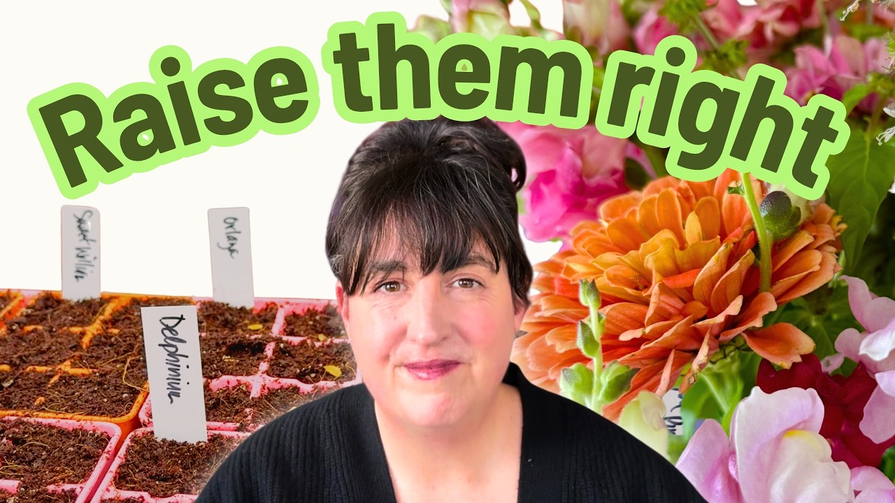 Starting Seeds Is Easy. This Is How I Keep Them Alive.