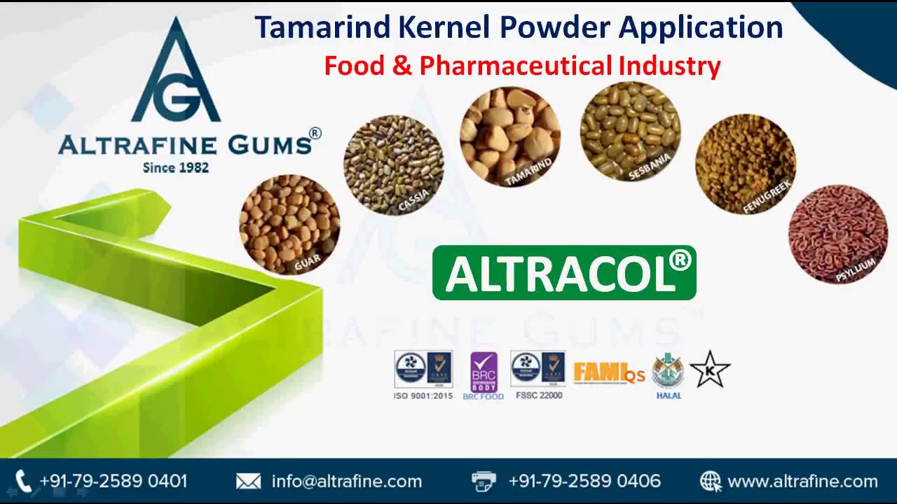 Tamarind Kernel Powder Applications in Food & Pharmaceutical Industry