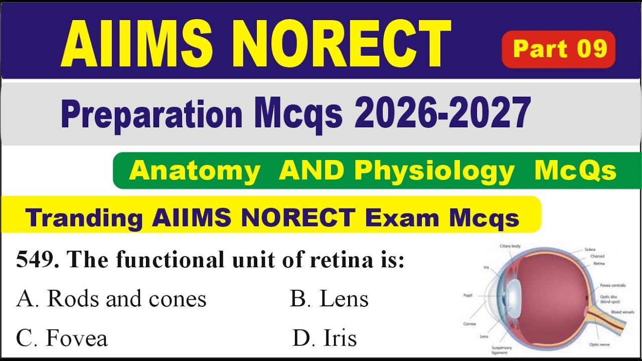 Top AIIMS NORCET 2026–2027 Preparation MCQs | Anatomy & Physiology McQs | Nursing Competitive Exams