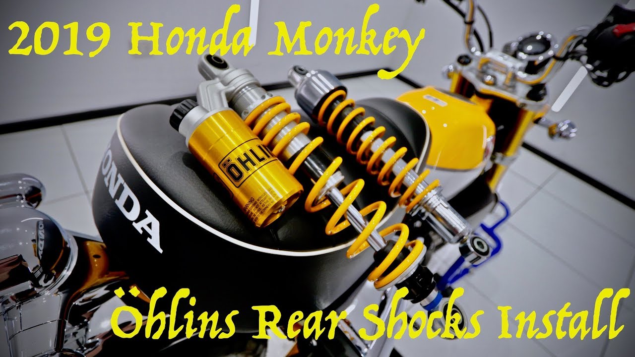 Установка апгрейда подвески/задних амортизаторов Honda Monkey Ohlins 2019 (первый мод Monkey)