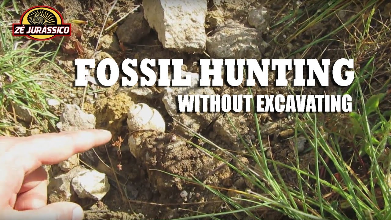 Fossil Hunting - Without Excavating