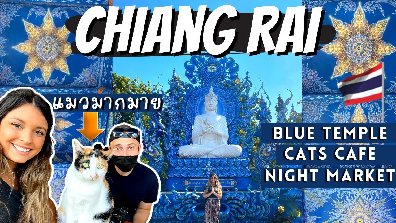 Chiang Rai Things To Do | Blue Temple, Night Market and Cat Cafe