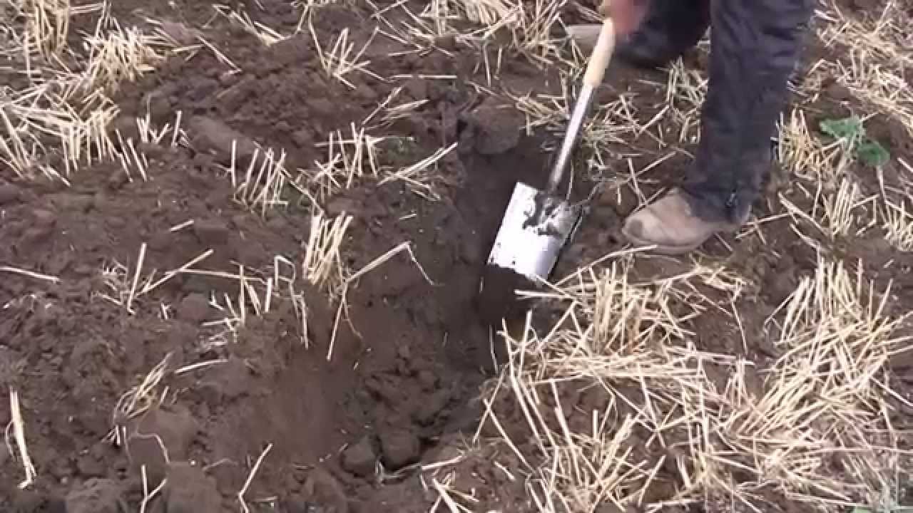 How to identify good and bad soil structure