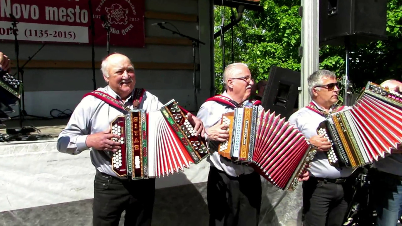 Društvo harmonikarjev Mirna Peč - Pod to goro zeleno (v živo)