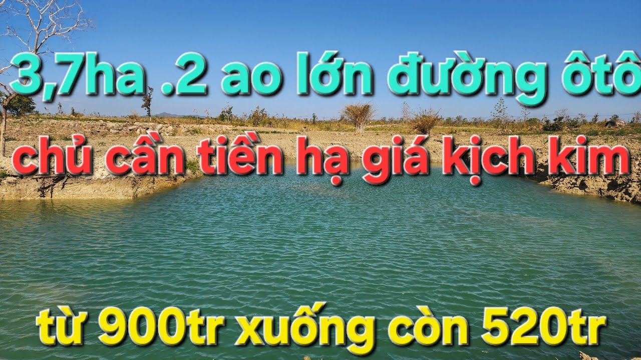 Chủ cần tiền hạ giá kịch Kim. 3,7ha .2 ao lớn. Đường ôtô. ACE quan tâm alô cho em ạ 
