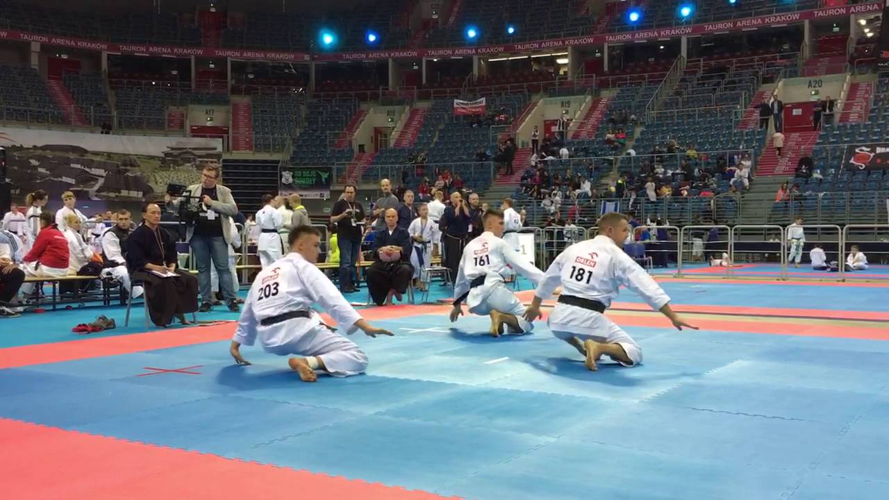 Mistrzostwa świata karate tradycyjne Kraków 2016