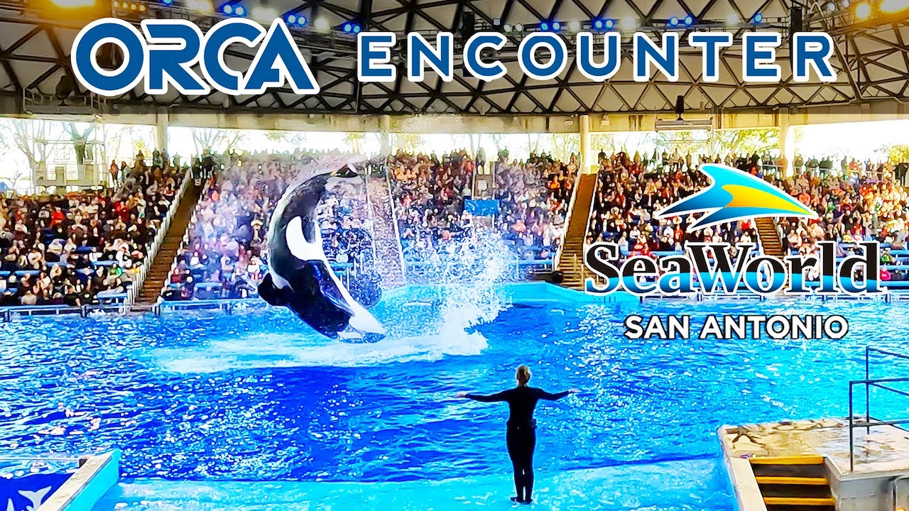 Orca Encounter | FULL SHOW 4K Ultra HD | SeaWorld San Antonio