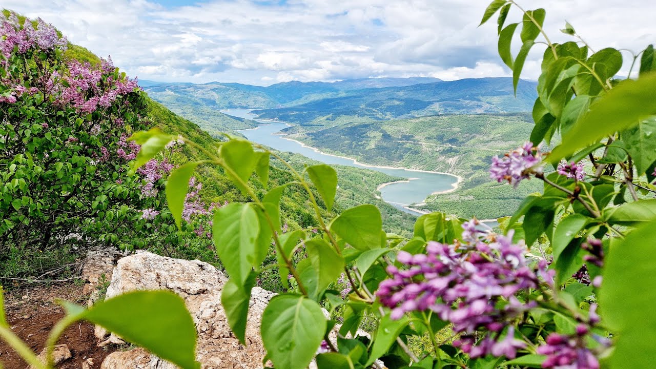 #STARA PLANINA, okolina Pirota