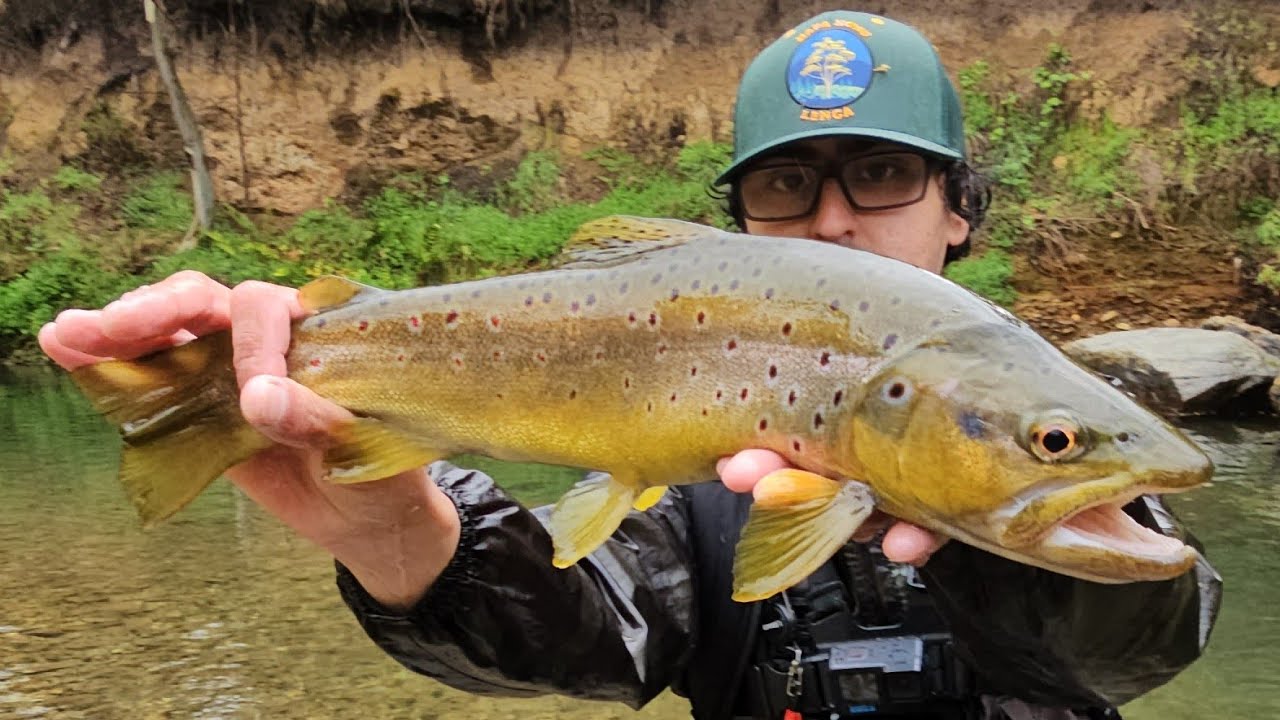 Exploramos un río cordillerano en busca de TRUCHAS 🎣 | Pesca con mosca y spinning 🤯