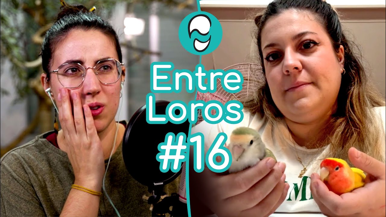Síndrome de Noé y Tenencia responsable | Ana (@ElNidoAndalucia) ~🎤 Entre Loros #16
