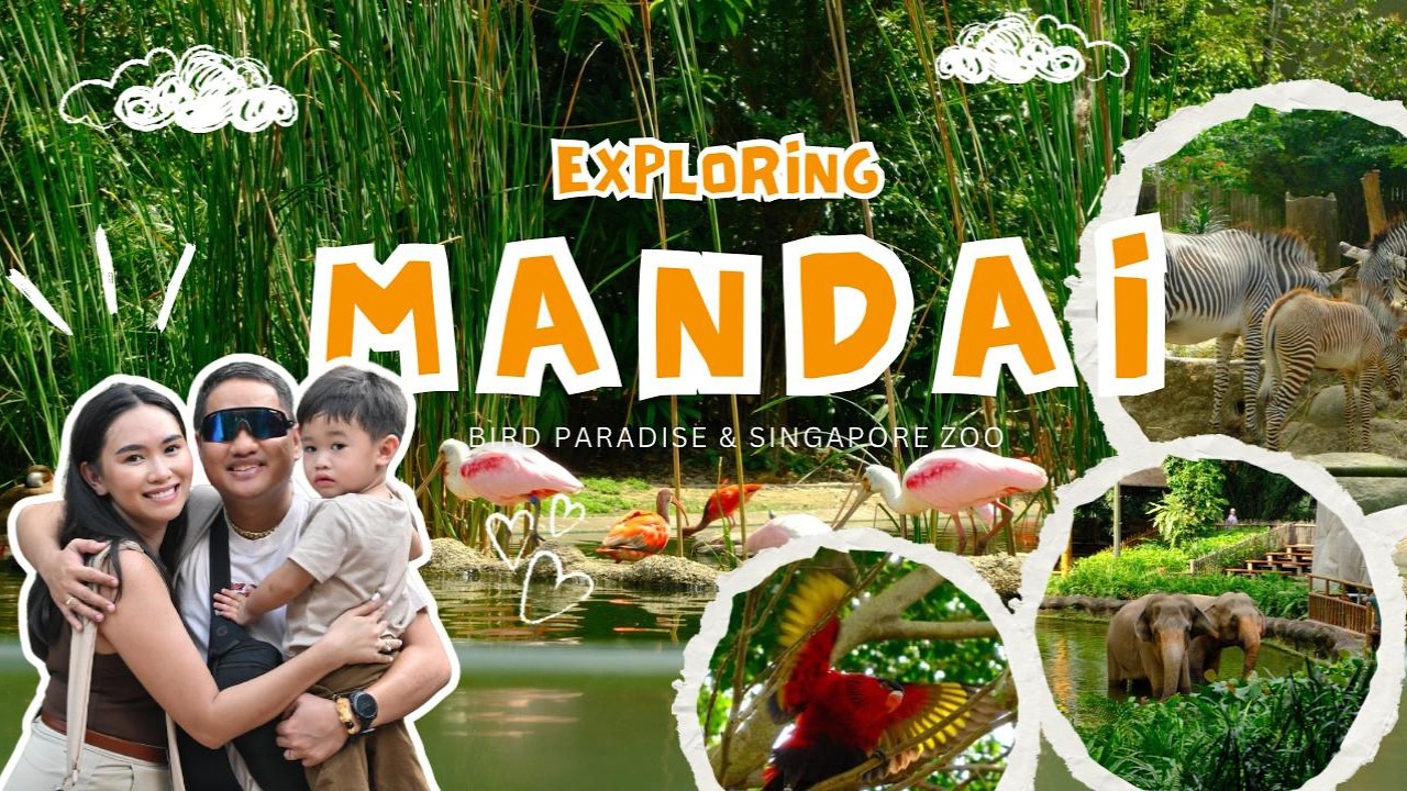 Singapore Zoo + Bird Paradise