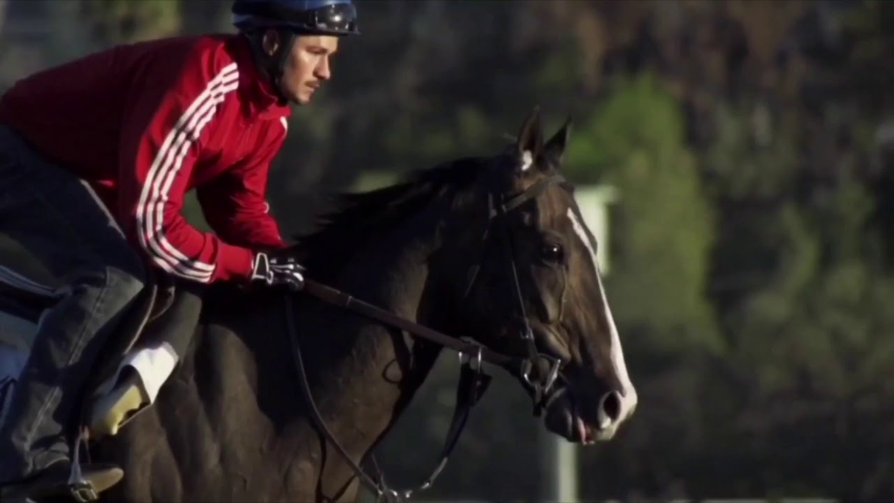 Play With Fire||Horse Racing music video