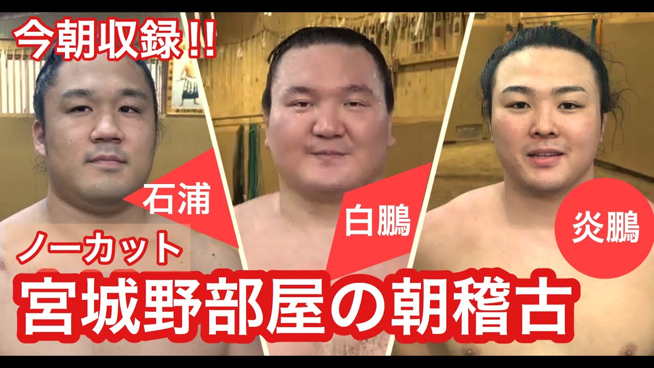 今朝収録!!【ノーカット版】宮城野部屋の朝稽古（横綱 白鵬、炎鵬、石浦）