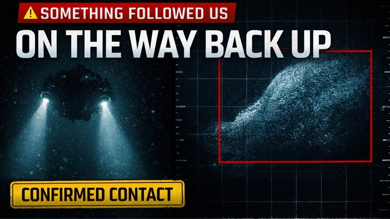 Warning: Do Not Watch This If You Are Scared Of The Ocean (The Return Journey)