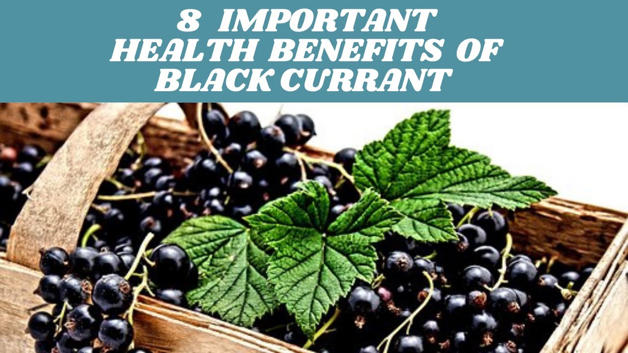 8 Important Health Benefits of Black currant  | Black Currant - Nutrition Facts and Health Benefits