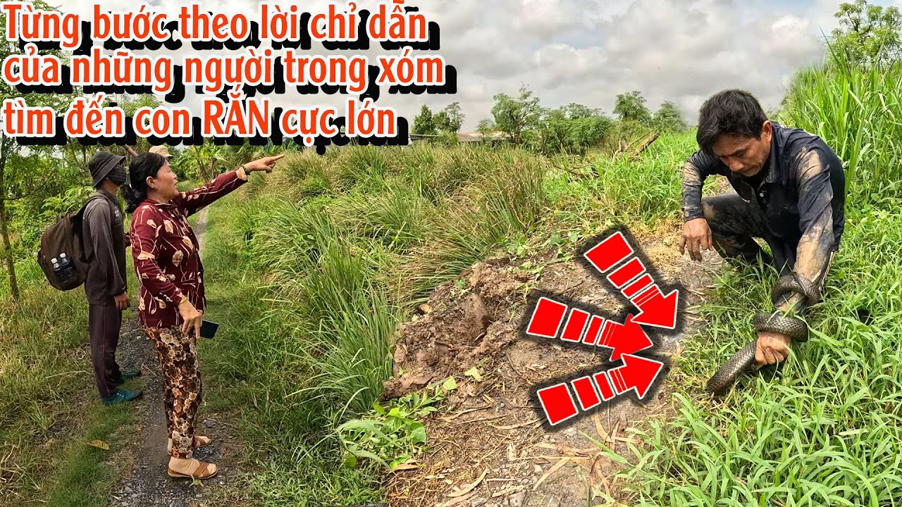 Mỗi người trong xóm đều nói CON RẮN này là KHÔNG THỂ TIN được | TGSB #991