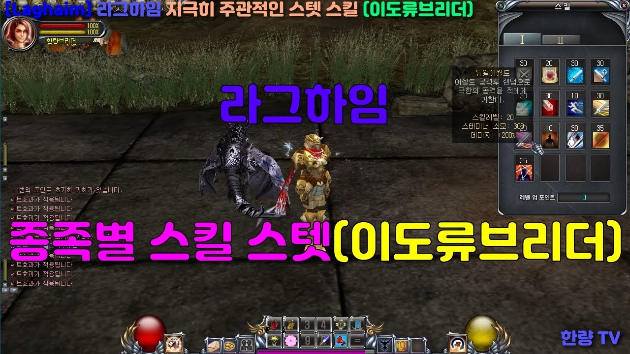 [Laghaim] 라그하임 지극히 주관적인 스텟 스킬 (이도류브리더편)