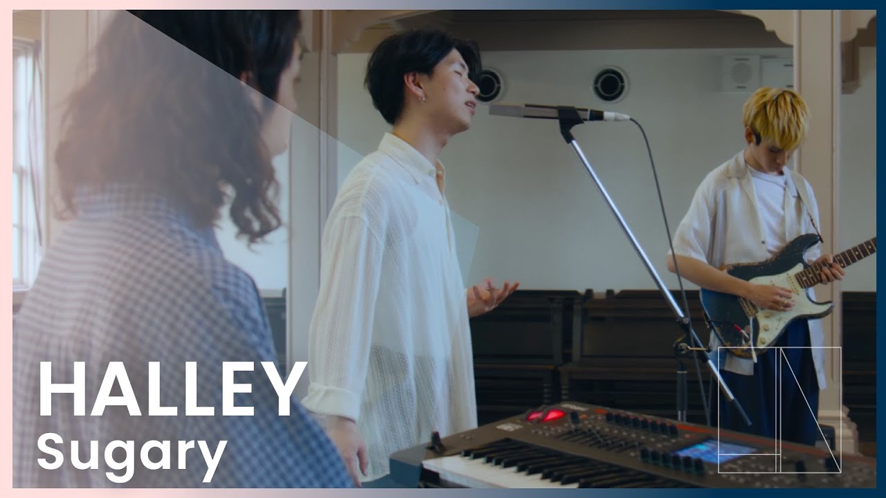 HALLEY - Sugary | LIV
